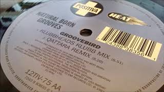 Natural Born Grooves - Groovebird (Original Mix)