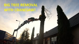 Big tree removal next to house with crane mounted chainsaw | Husqvarna 572XP & 395XP by patkarlsson 2,543 views 1 year ago 27 minutes