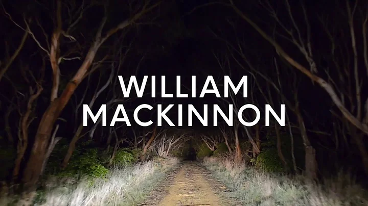 William Mackinnon 'Psychological Landscapes 2016' ...