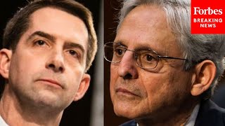 JUST IN: Tom Cotton rips Merrick Garland, gives reasons for NO vote