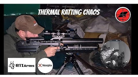 Rat chaos with the @NocpixPL  on the RTI MORA