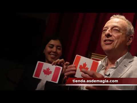 McCombical Travel by Vernet video