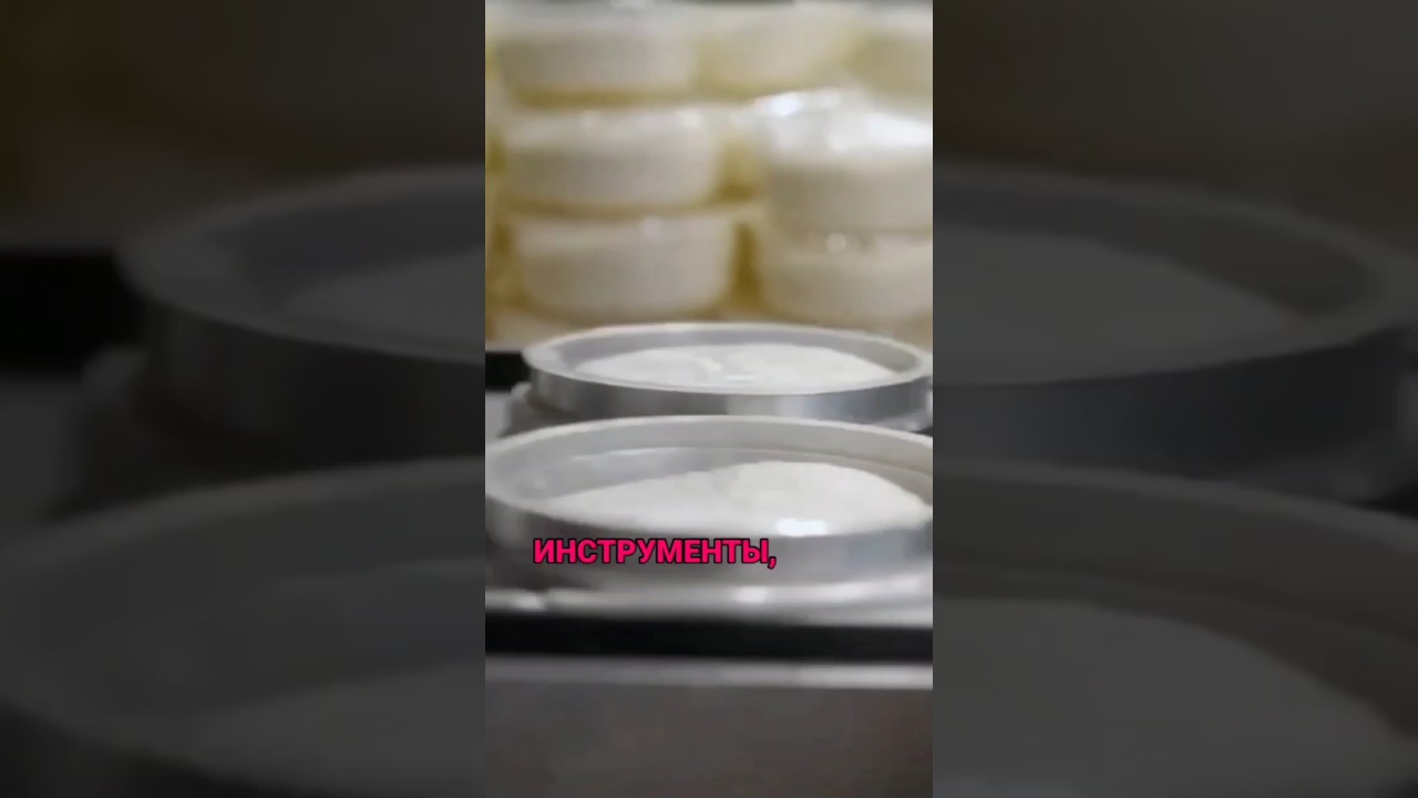 Молочный сектор России продолжает развитие 