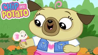 Chip and Potato | Pumpkin Picking Chip (Full Episode) | Cartoons For Kids | Watch More on Netflix