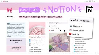 how i organize my life (college, youtube, learning korean) with notion | my notion tour