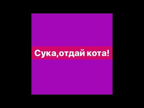 МУККА - ОТДАЙ КОТА