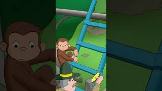 Traffic Light Confusion