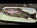 Forelle ausnehmen-Fisch-Forellen richtig ausnehmen-Forelle vorbereiten