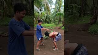 Comedy too funny 3 #funny #entertament #comedy #humorandamusement #humor #memes #duet #animals #fun