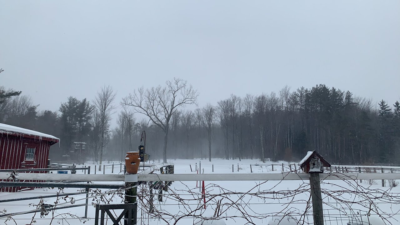 LIVE HAZARDOUS CONDITIONS in Buffalo New York BLIZZARD of 2022