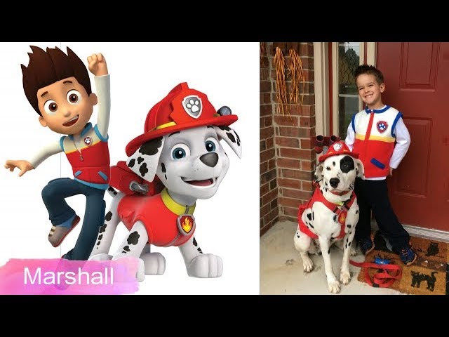 Centrum Depression Creep Paw Patrol Dogs Real Life Breeds!! - YouTube