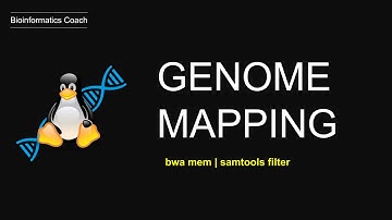 Genome Mapping with BWA Tutorial | Filtering BAM files| ( bwa mem | samtools view | samtools filter)