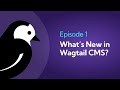 What's New in Wagtail CMS | Episode 1 | Content Import, Headless Preview & Customizable Workflow