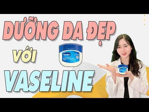 Video: Trong tiếng Anh, dự đoán là gì?