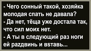 Анекдот про совет... Сборник анекдотов! Юмор! Позитив!