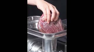 MG 120 Electric Meat Grinder