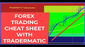 How To Download And Install New Tradermatic Forex Trading Software Youtube