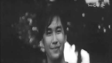 หนังควบ | เจ้าพ่อทรหด (2535) VS ชาติอำมหิต (2531) - หนังไทยเก่า เต็มเรื่อง【โพชงฟิล์ม Pochong Film】
