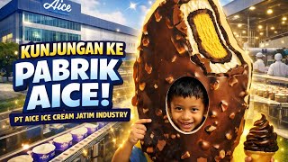TERNYATA BEGINI! Cara Es Krim Aice Dibuat🍦