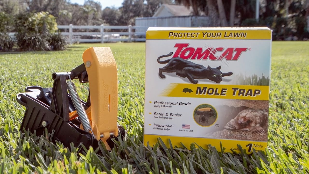 TOMCAT Protect Your Lawn Spring-Loaded Mole Trap - Foley Hardware