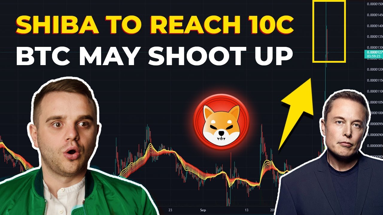 Shiba to reach 10c! Shiba inu price prediction. Bitcoin may shoot up!!!