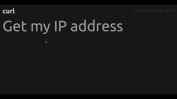 Get my IP address #curl