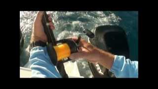 Tuna and Mackerel Trolling  Great barrier reef screenshot 5