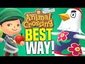 GUARANTEED Way To MOVE OUT Villagers In Animal Crossing New Horizons!