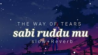 Sabi Ruddumu | (slow + Reverb) | Relaxing Sound |