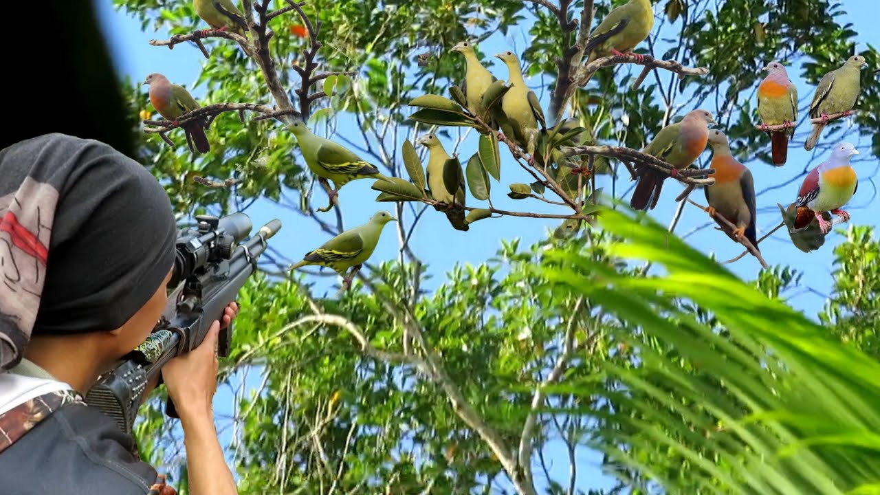 Masuk Hutan Berburu Burung, Hasilnya Bikin Kaget 😱🔥