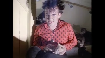 The Cure -The Lovecats (Link Original Video)