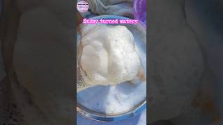 ASMR 🤍Sudsy turned watery sponge squeezes🤍 #shorts #spongerinse #asmrsponge