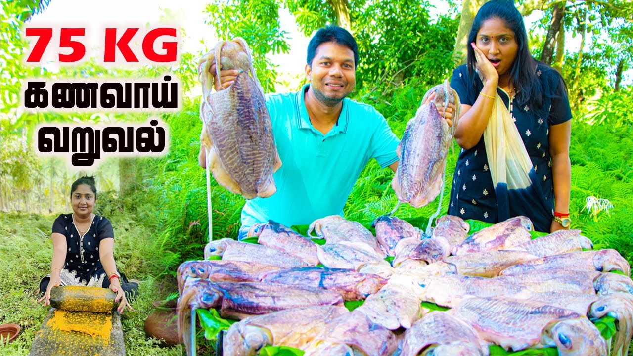 75 KG Squid Fish Roast | Sri Lanka Seafood Cuttlefish | Rj Chandru Vlogs 