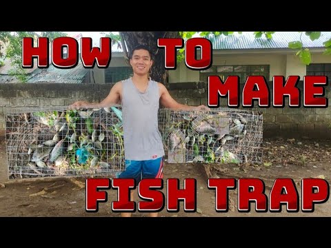 Fishstrap Screen Paano Gumawa ng Fishtrap o Patanga (Metal Screen) - YouTube