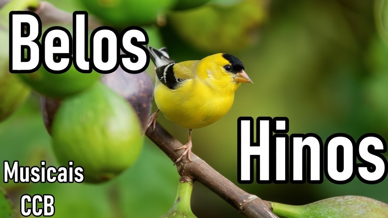 BELOS HINOS CCB CANTADOS -  Musicais CCB - Melhores Hinos Cantados CCB 02/03/2026