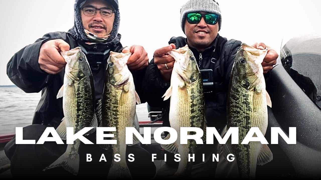 We Found some BIG BASS on LAKE NORMAN! | Lake Norman, NC