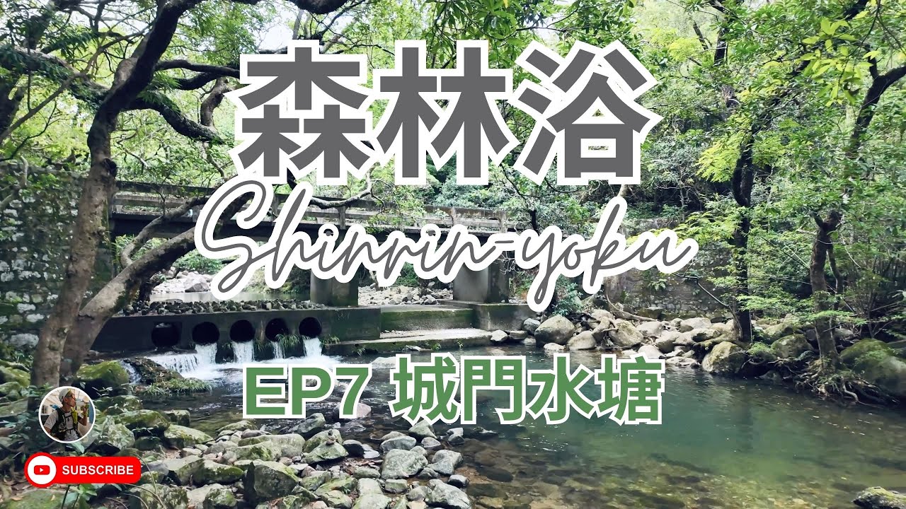 Shinrin Yoku | Forest Bathing | 森林浴 EP7 | 城門水塘 | 8 mins | Jun 2024 🌲🌳🚿😌 ...