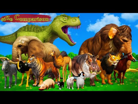 Animal Size Comparison | 3d Animation Comparison | Real Scale Comparison