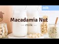 How To Make Maple Macadamia Nut Milk (without straining!) with Almond Cow