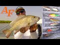 Fishing Challenge can I catch a fish on every lure in the Saltwater Estuary Pack EP.450