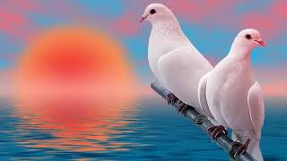 Hari Hogu Parivalave.b Muttur