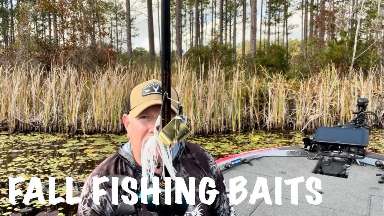 Fall Bass Fishing Baits