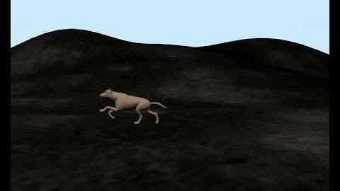 Animation Demoreel.mov