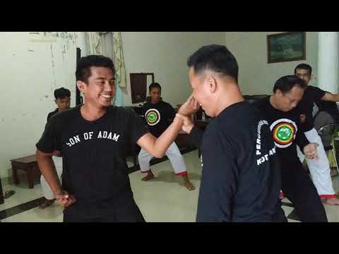 Video: Pelatih Suci - Pandangan Alternatif