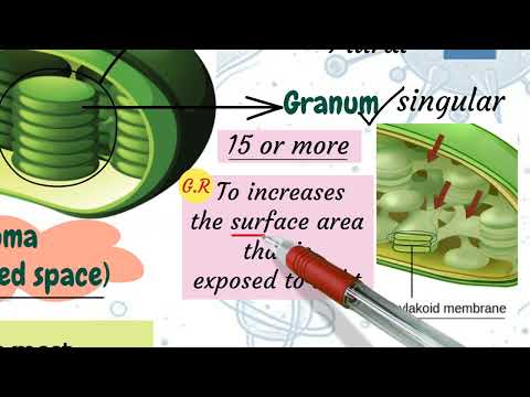 Science Prep 2 Unit 4 Lesson 1 Part 1 ساينس ثانيه إعدادي شرح الوحده الثالثه الدرس الاول