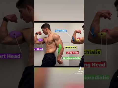 Video: Dokážete vytiahnuť brachialisový sval?