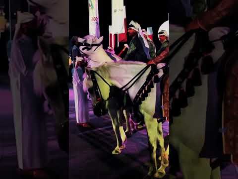 اليوم الوطني لدولة قطر