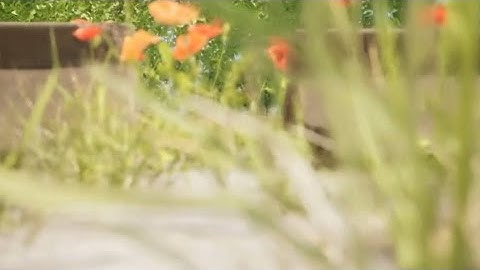 UE5, Unreal Engine 5.1 abandoned house