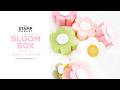 BLOOM BOX HOW TO WITH SURPRISE