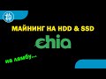 50 000$ В МЕСЯЦ С МАЙНИНГА НА HDD & SSD - CHIA! КАК МАЙНИТЬ CHIA... И НАМАЙНИТЬ НА ЛАМБУ